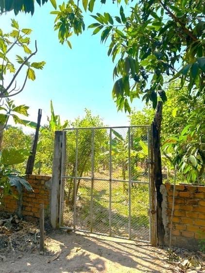 Lot For Sale in Sout Nikom $694,260