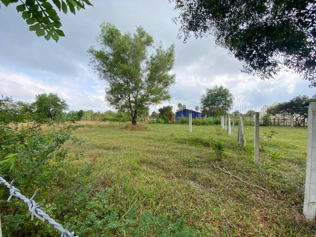 1,441 sqm Land Size Lot For Sale