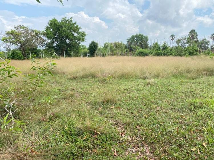 Andoung Khmer, Kampot的土地出售