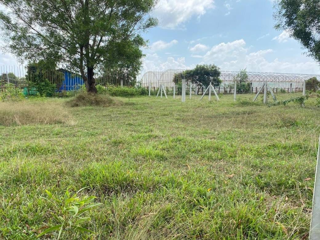 1,441 sqm Land Size Lot For Sale for $108,075