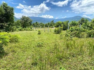 702 sqm Land Size Lot For Sale
