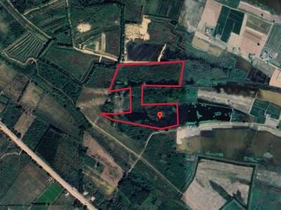 Peam Reang Pozemky Na prodej in Peam Reang