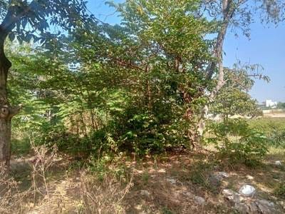 Pozemky Na prodej in Nirouth, Chbar Ampov, Phnom Penh