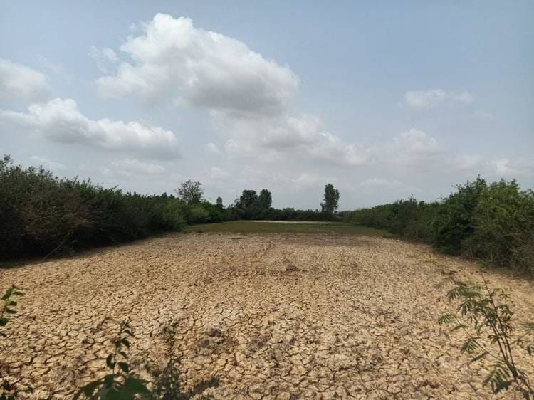 Land For Sale in S'ang Phnum, S'ang, Kandal