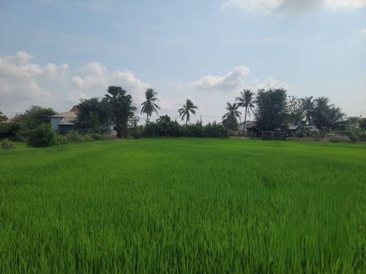 Relief À vendre à S'ang Phnum, S'ang, Kandal