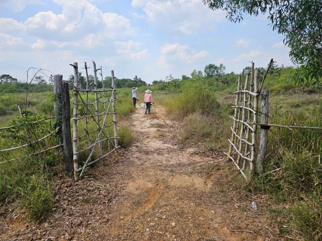 农业用地出售，位于Traeng Trayueng县, Phnum Sruoch市, 磅士卑省