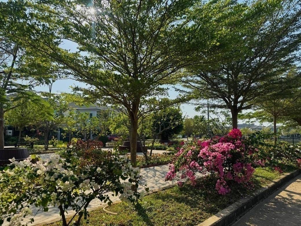 Vila K pronájmu in Kandaek, Prasat Bakong, Siem Reap
