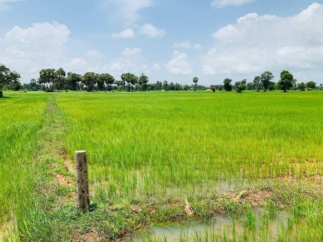 Działka Na sprzedaż w Chan Sa, Sout Nikom, Siem Reap