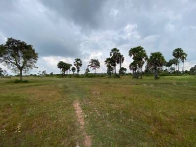 Działka Na sprzedaż w Trach Tong, Odongk, Kampong Speu