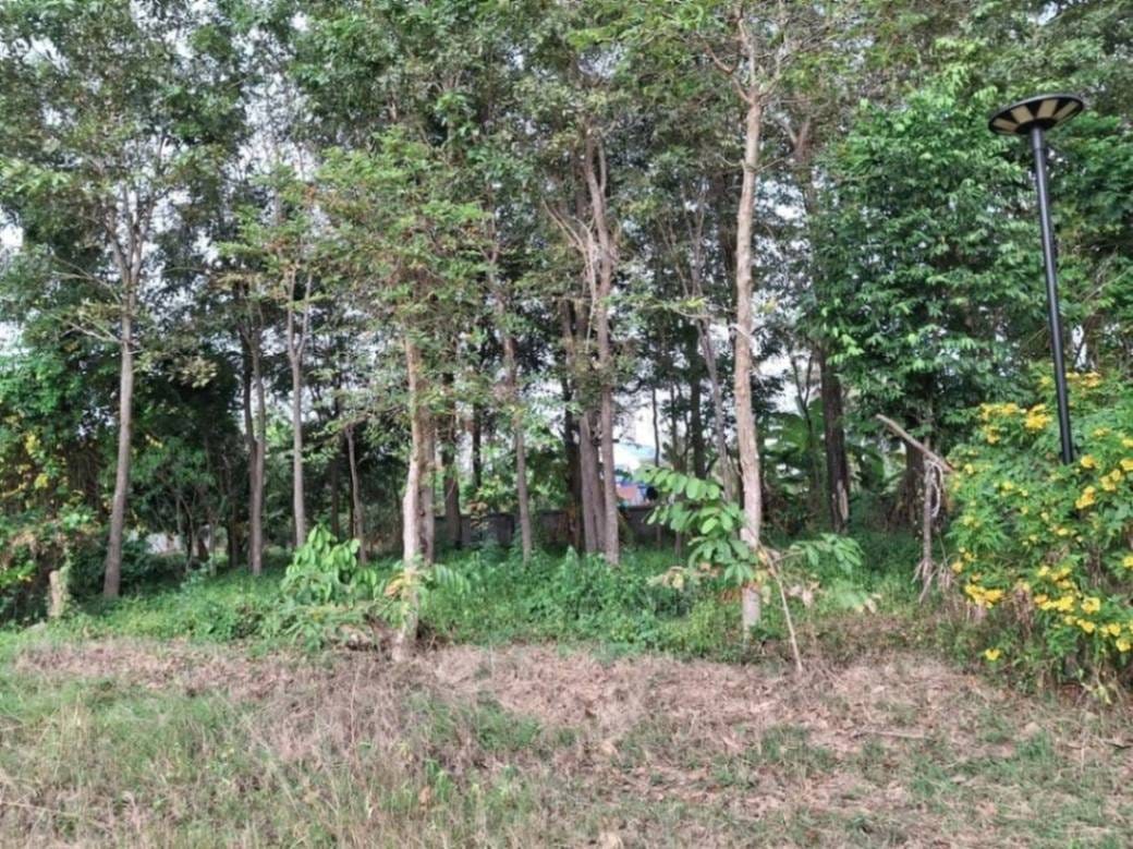 Tuek Chhouの土地売り物件 $450,000