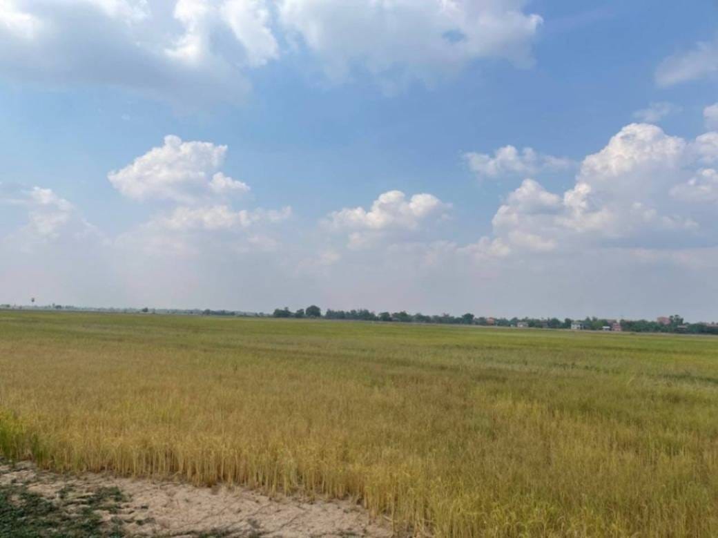 Relief À vendre de 125,723 m² de terrain