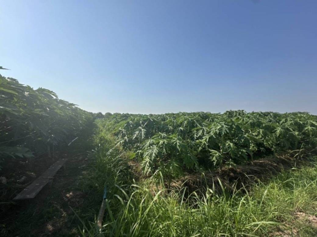3,422 sqm Land Size Pozemky Na prodej