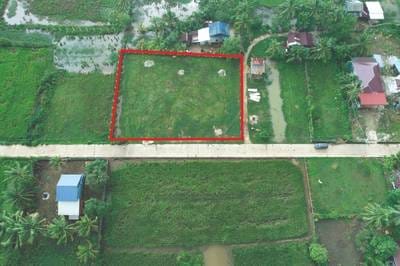 2,133 sqm Land Size Lot For Sale & Rent