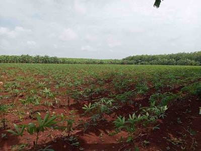 Lot For Sale in Tbaeng Mean Chey $1,700