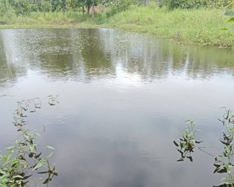 ที่ดิน สำหรับขาย ใน เปรี๊ยะนิเพียน, กงปิเซ็ย, กำปงสปือ