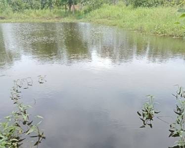 ที่ดิน สำหรับขาย ใน เปรี๊ยะนิเพียน, กงปิเซ็ย, กำปงสปือ