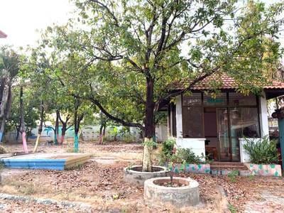 5 Bedrooms Apartment For Rent