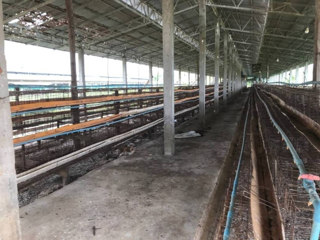 Vila Na prodej in Ou Ta Ki, Thma Koul, Battambang