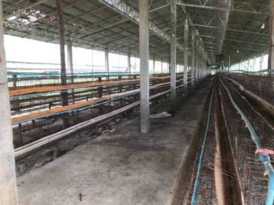 Vila Na prodej in Ou Ta Ki, Thma Koul, Battambang