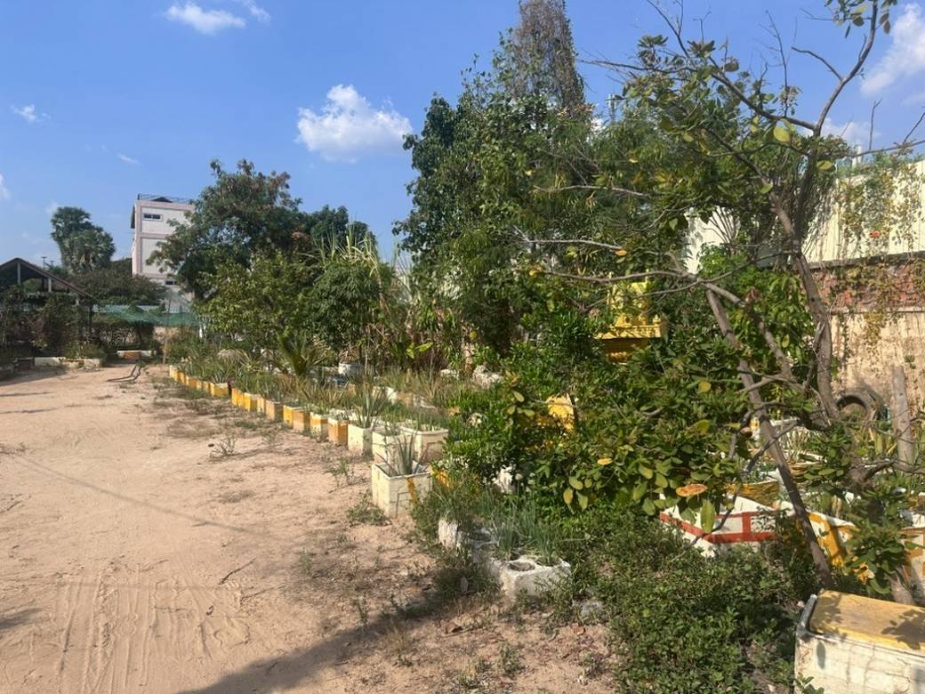 Земля Для Продажи in Siem Reap $310,000