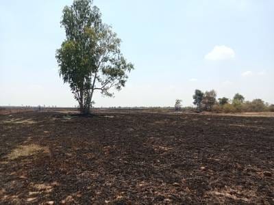 Terrain agricole À vendre à Rolea B'ier $860,000