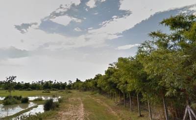 Lot For Sale in Svay Dankum, Siem Reap, Siem Reap