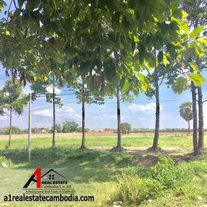 Siem Reap, Siem Reap, Siem Reap
