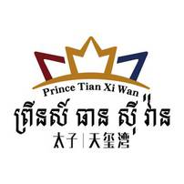 Prince Tian Xi Wan undefined