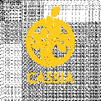 Cassia Fistula villa Apartment undefined