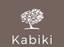 The Kabiki Apartment