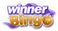 Mr. Winner Apartment and Villa