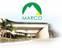 Macro Apartment