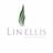 Lin Ellis Apartment