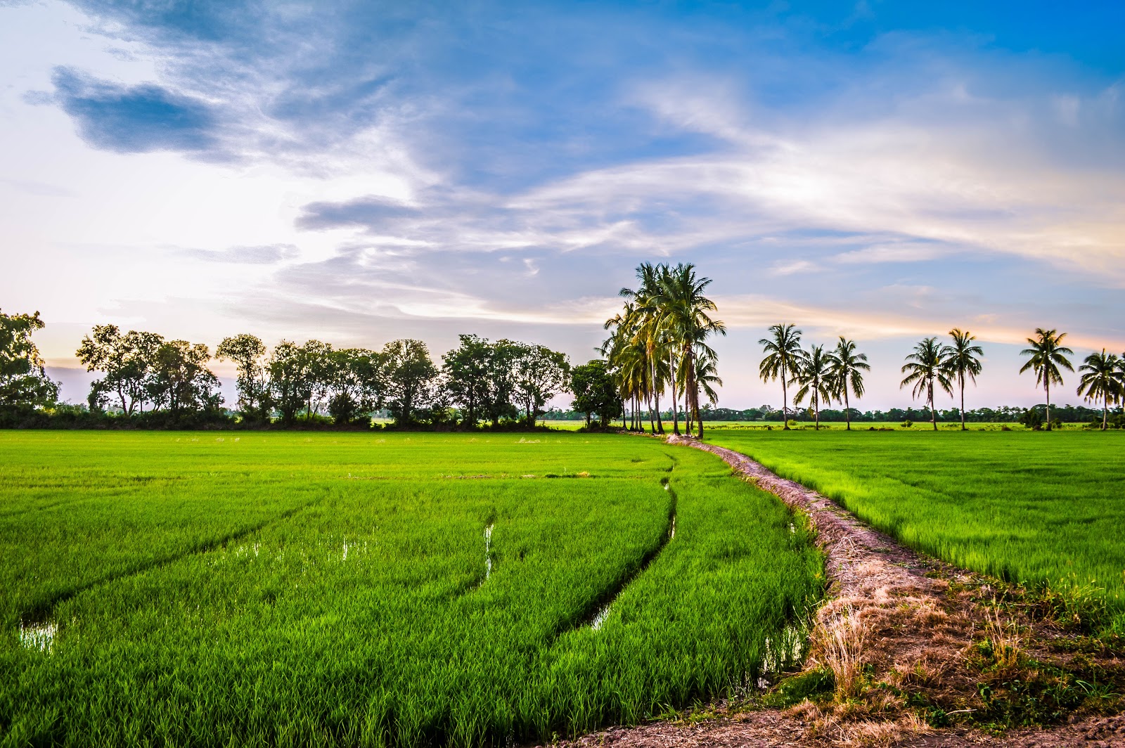 The ultimate guide to Cambodia