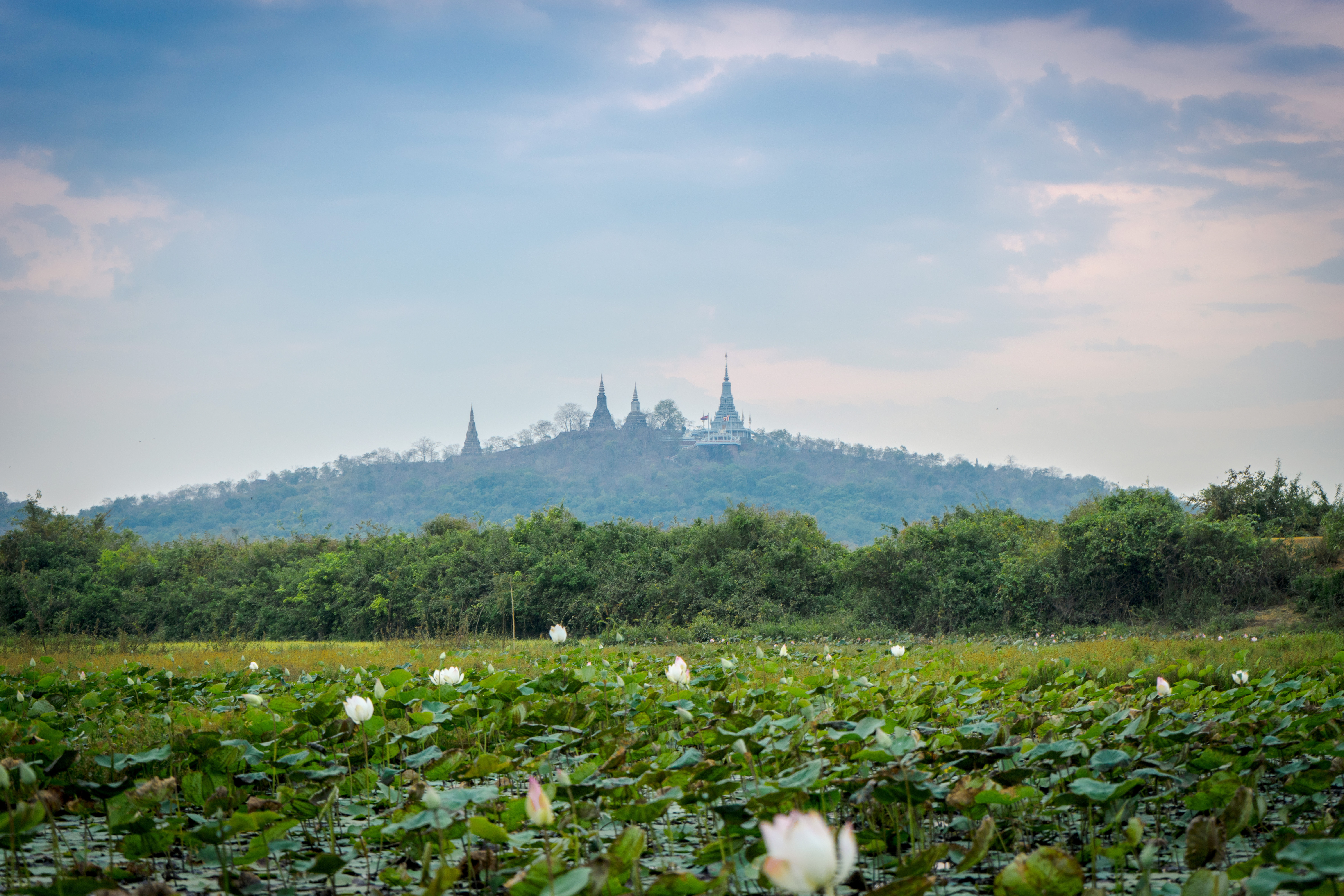 ទីតាំង កណ្ដាល