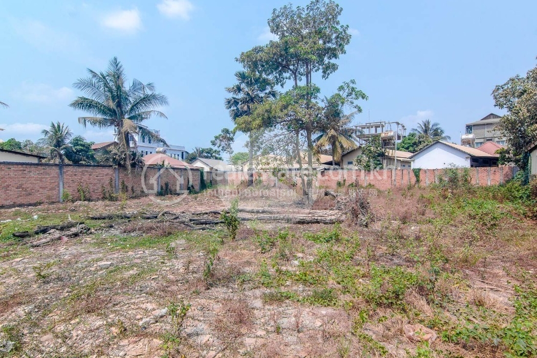 2104081336bf9a3f-12200-1046-sqm-residential-land-for-sale-in-svay-dangkum1.jpg