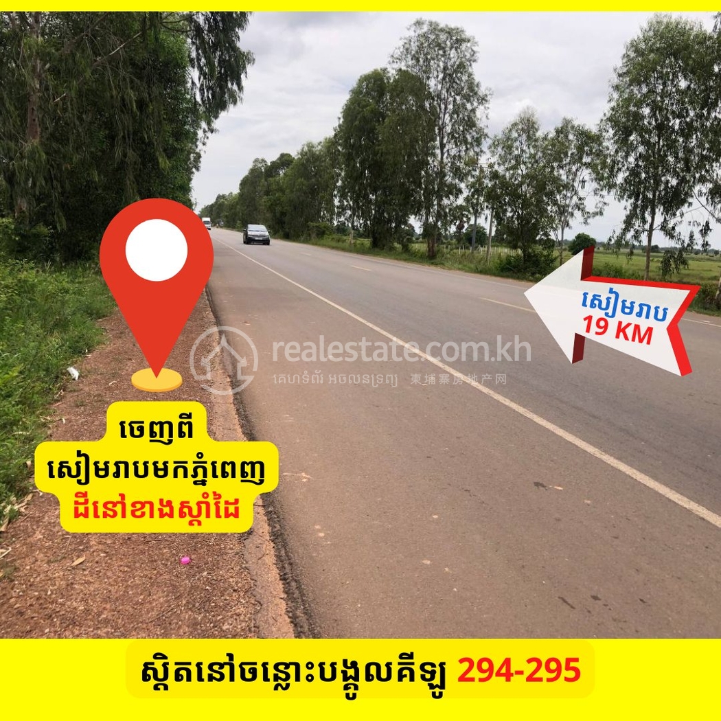 213636_106274384