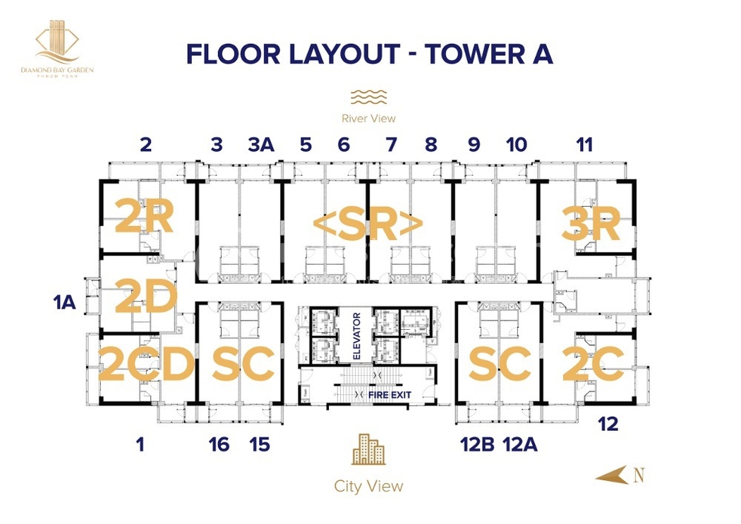 Floor Layout DBG.jpg