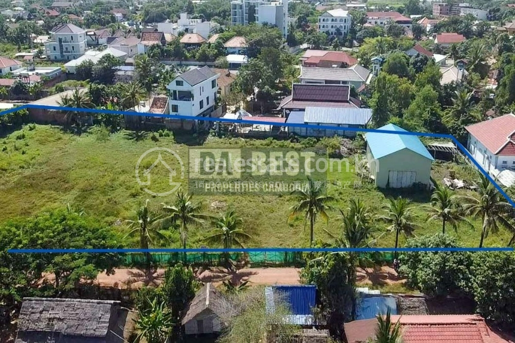 land for sale in siem reap sala kamreuk coconut tree --2.JPG