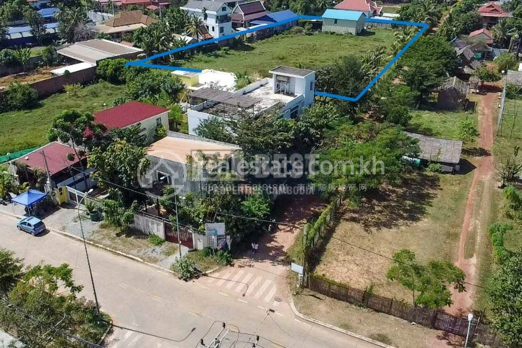 land for sale in siem reap sala kamreuk coconut tree -44.JPG