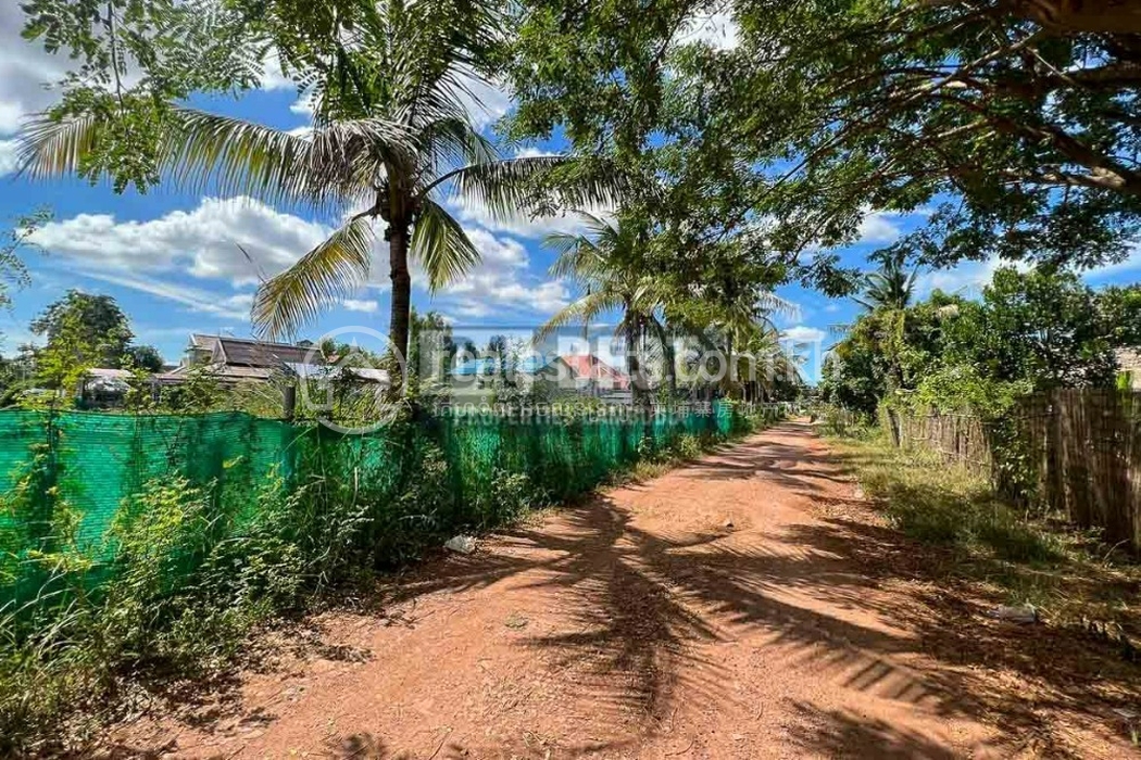 land for sale in siem reap sala kamreuk coconut tree -48.JPG