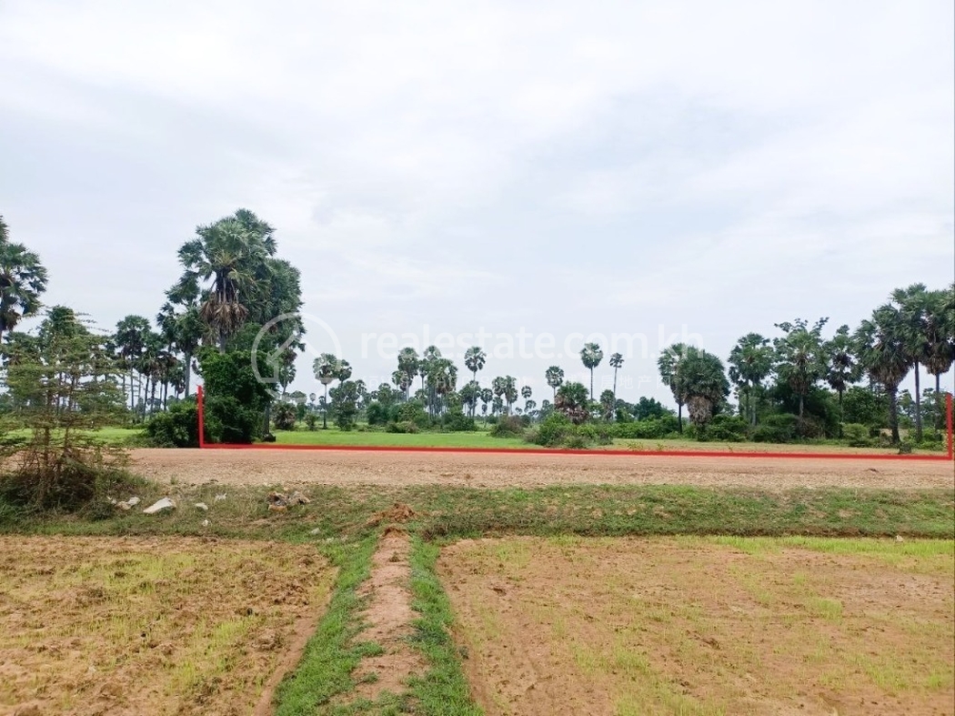 1 - Copy.jpg