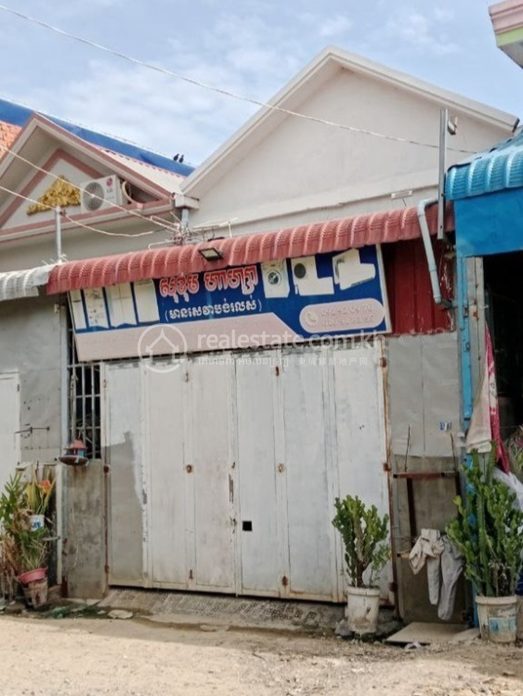 01.jpg