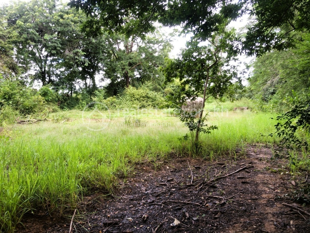 7.JPG