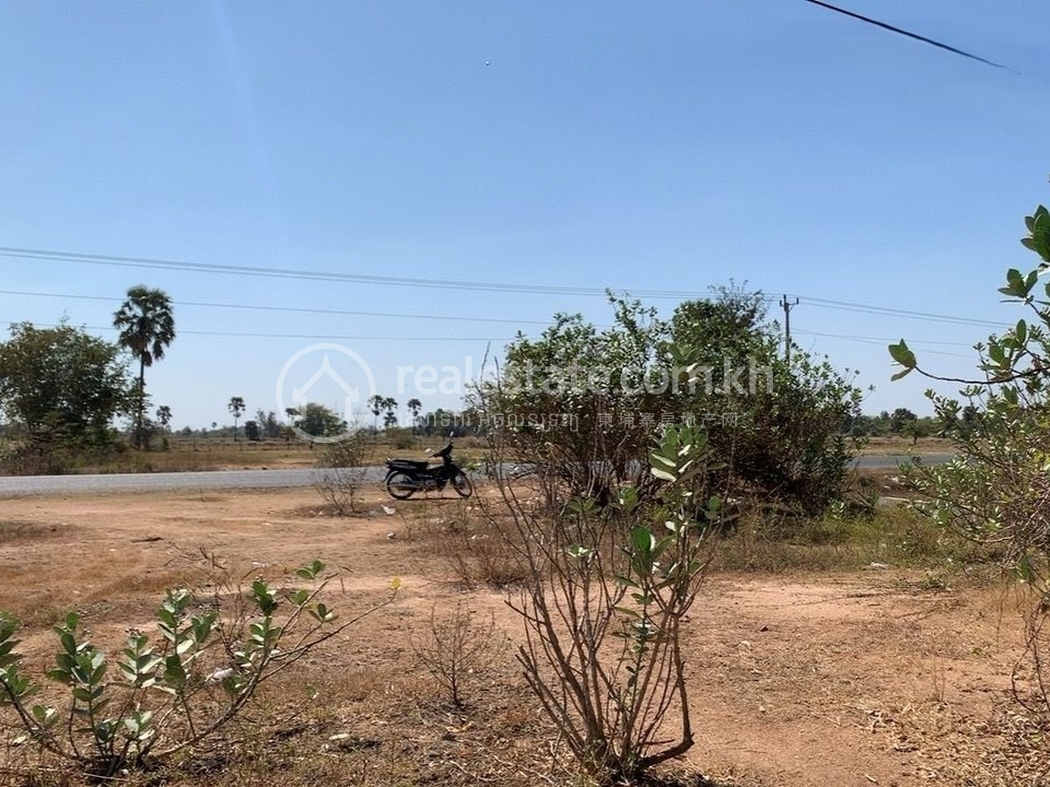 TC_00174.JPG