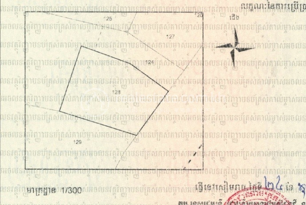 Site Layout.jpg