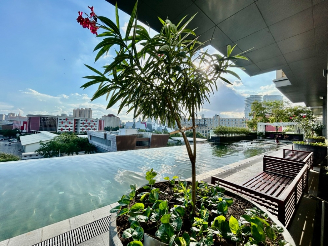 residential Condo for sale & rent v Tonle Bassac ID 265096 25