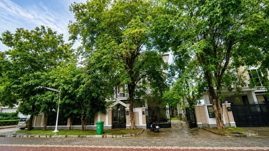 residential Villa for rent v Nirouth ID 265361