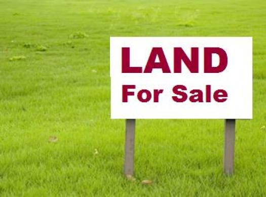 Land for Sale in Krang Pongro ID 57245 | Realestate.com.kh