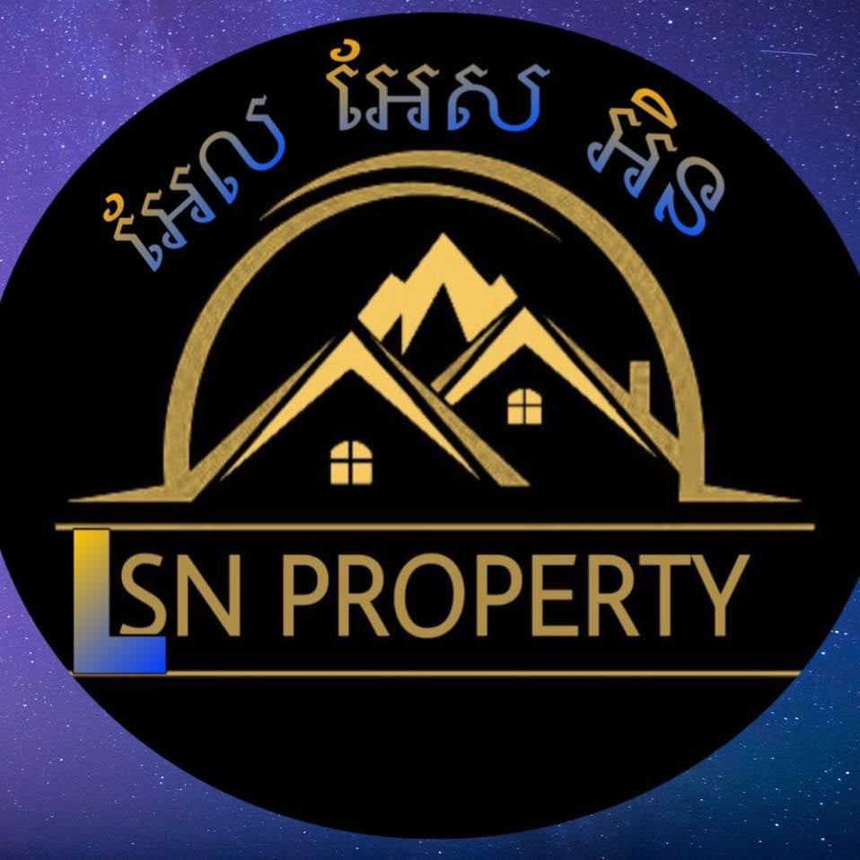 LSN Property